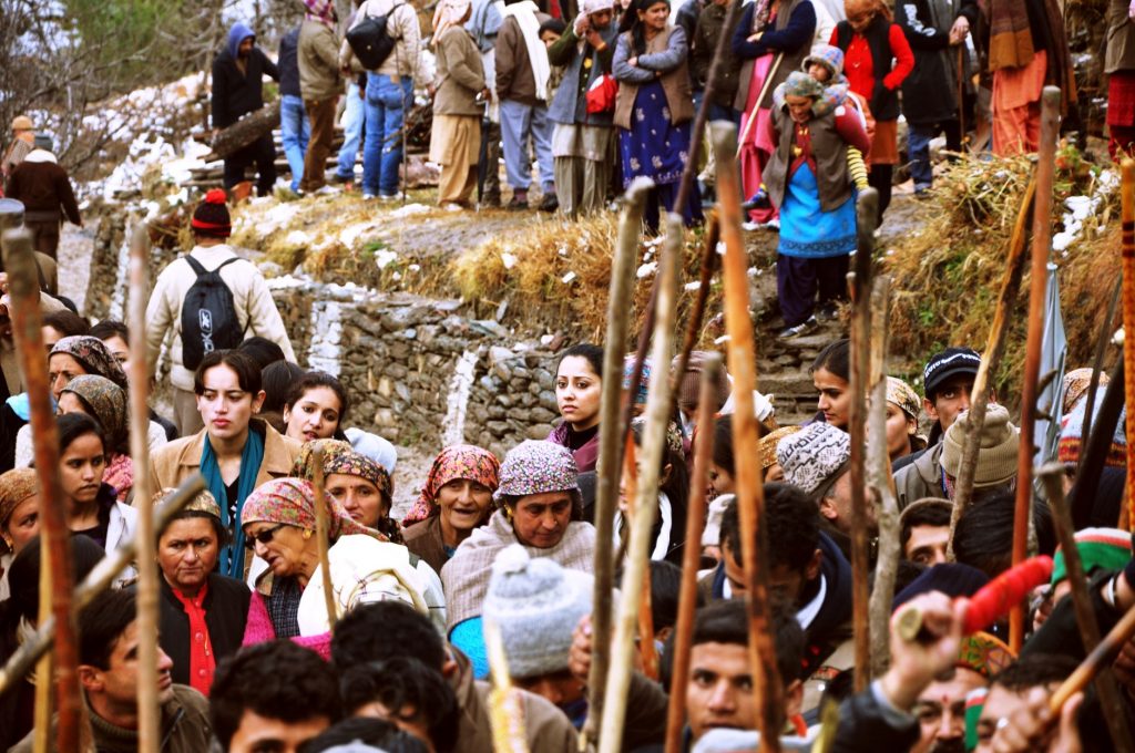 Shimla Litter