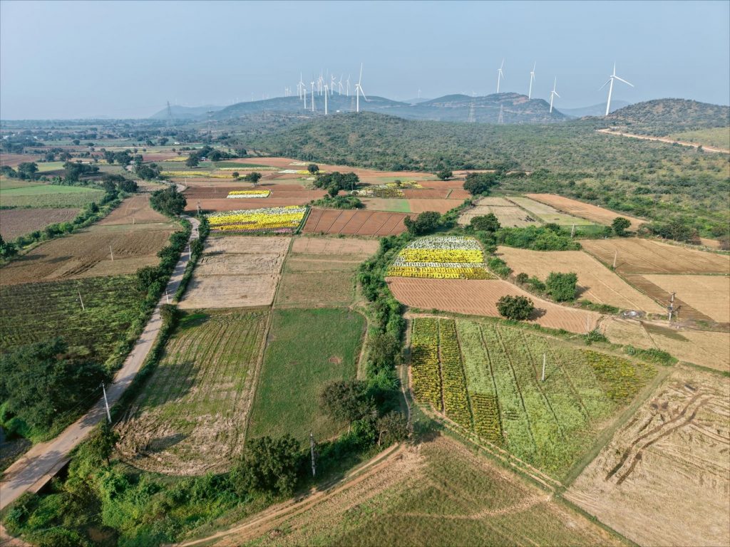 PM Modi Unveils India’s Ambitious Renewable Energy Plan