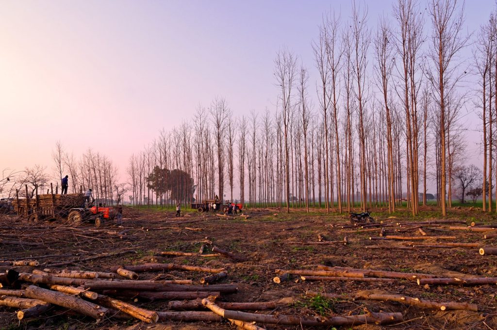 BJP Punjab Chief Seeks World Bank’s Rural Transformation Partnership