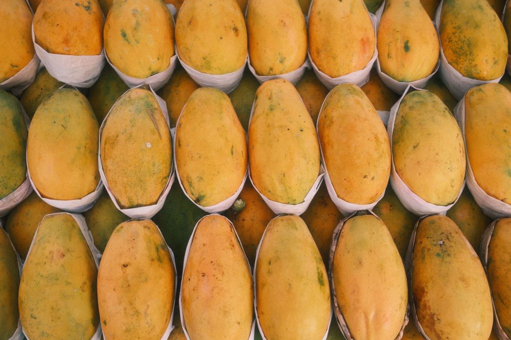 Mango Frenzy Turns Sour: Farmers Ditch Harvests as Prices Plummet