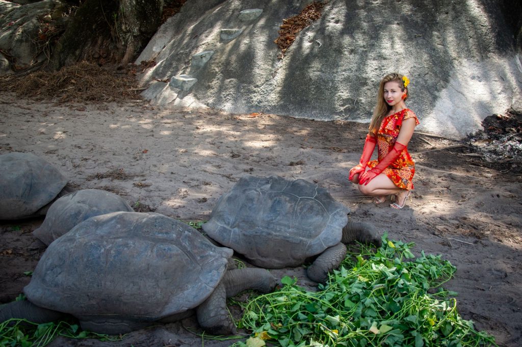 PM Modi to Meet Giant Tortoise, Earth’s Oldest Living Land Animal