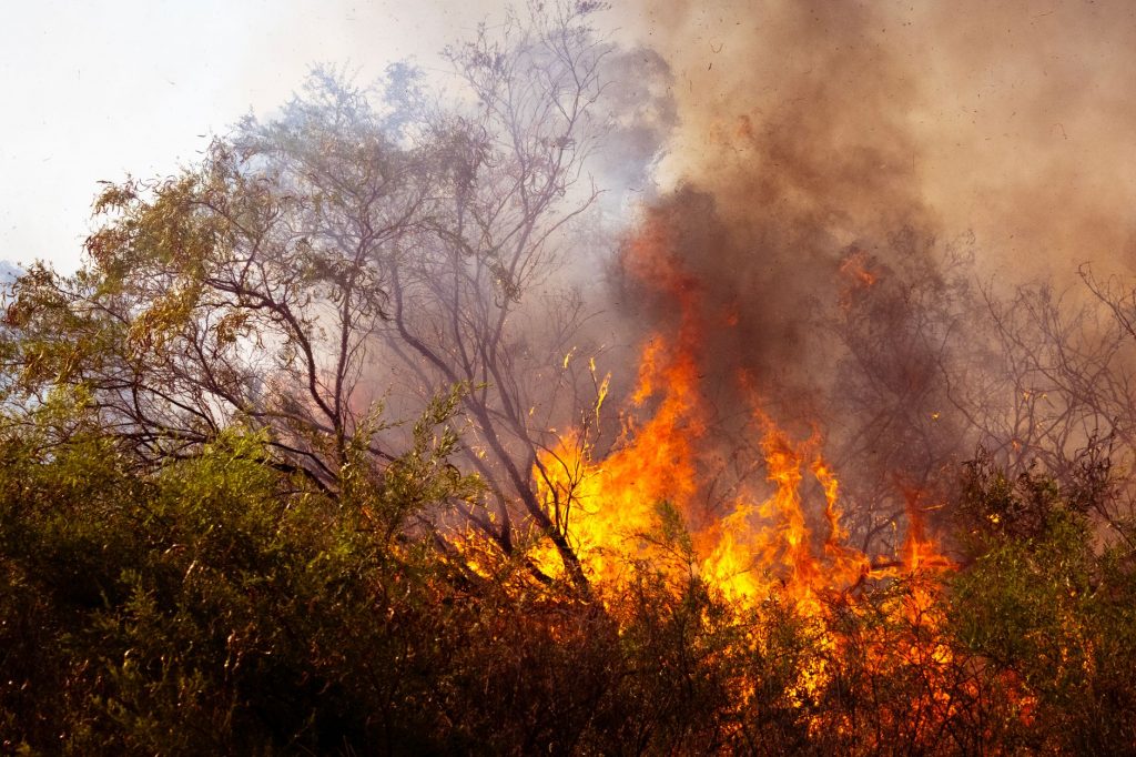 SFO Fire: Blazing Inferno Brings San Francisco Airport to a Standstill