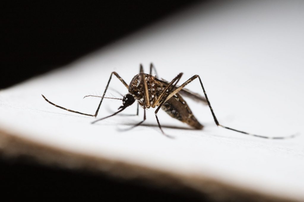 Sri Lanka Turns to Drones to Combat Dengue Fever