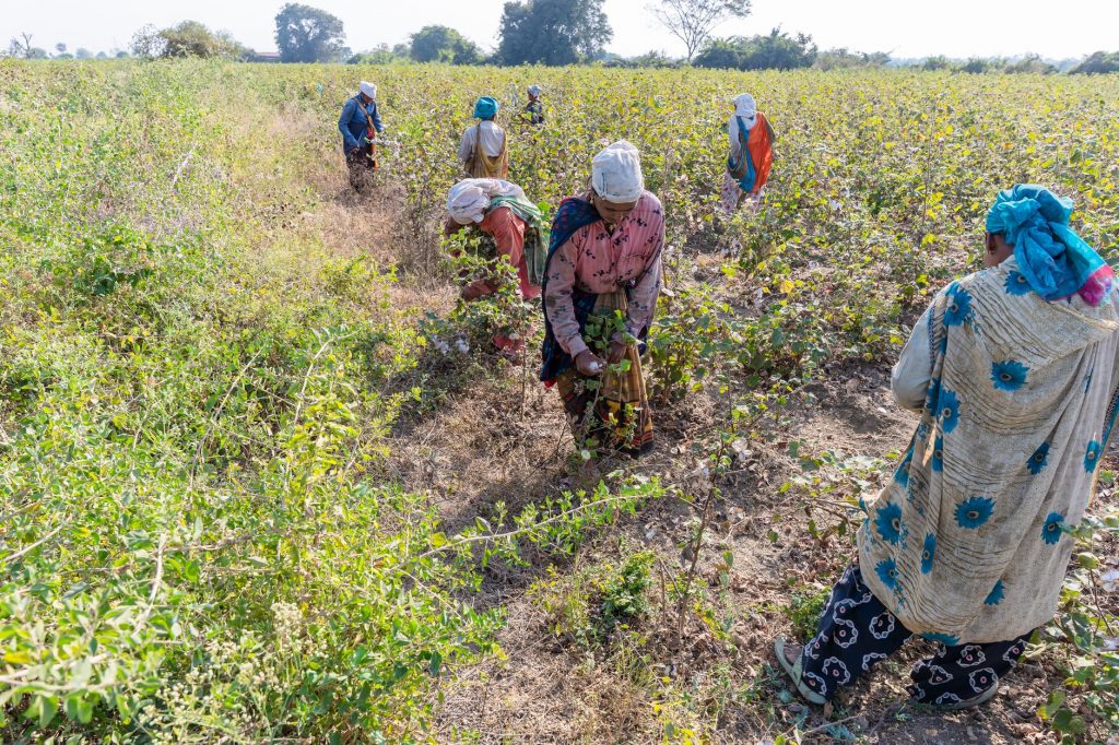 India Sets New Benchmark in Land Restoration Efforts