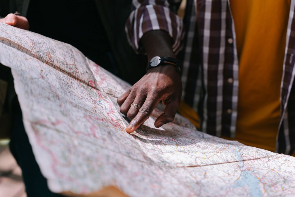 IIT Alum Maps Mumbai’s Hidden Cat Population