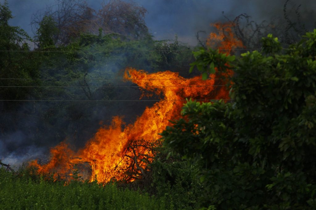 Europe’s Heatwave Video Exposes India’s Climate Contrasts