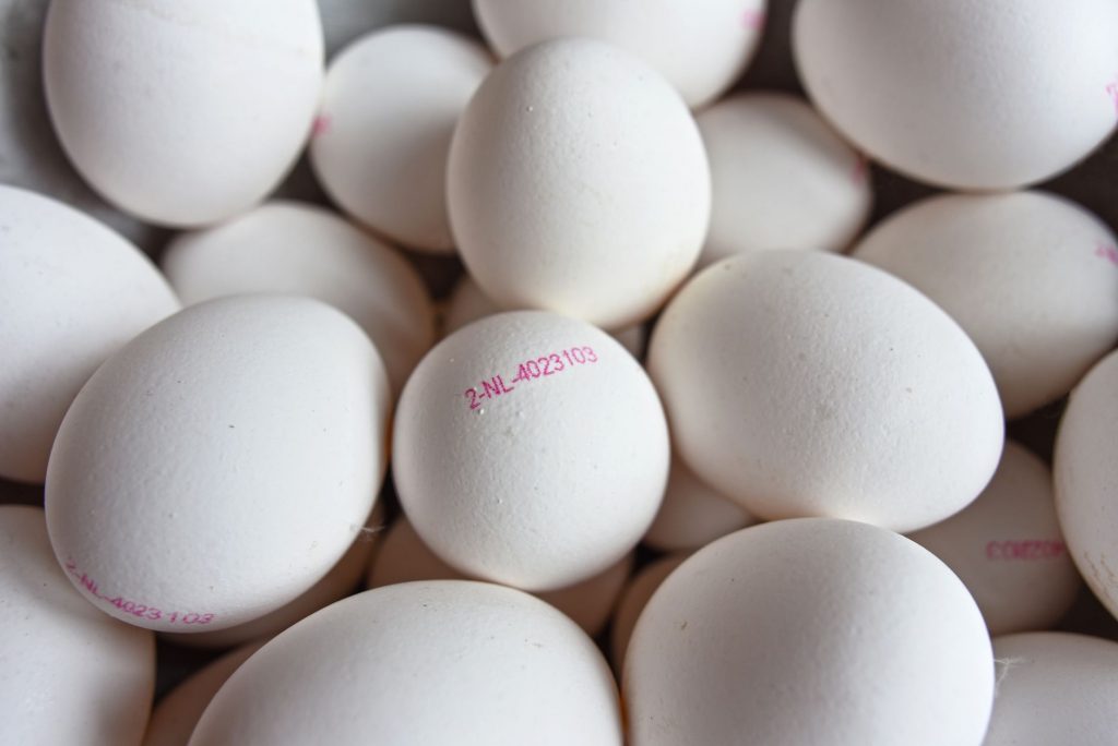 Egg-cellent Debate: West Bengal’s Mid-Day Meals Controversy