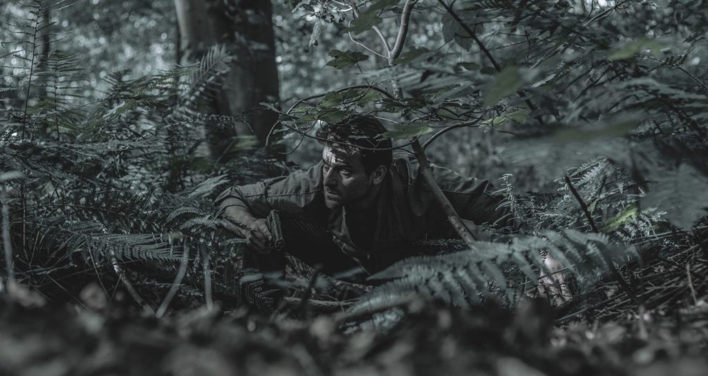 Jungle Box Office: Rs. 4.50 Cr Net on Day 8 Amidst Screen Cuts