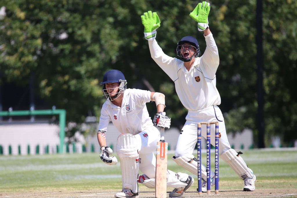 Cricket Win