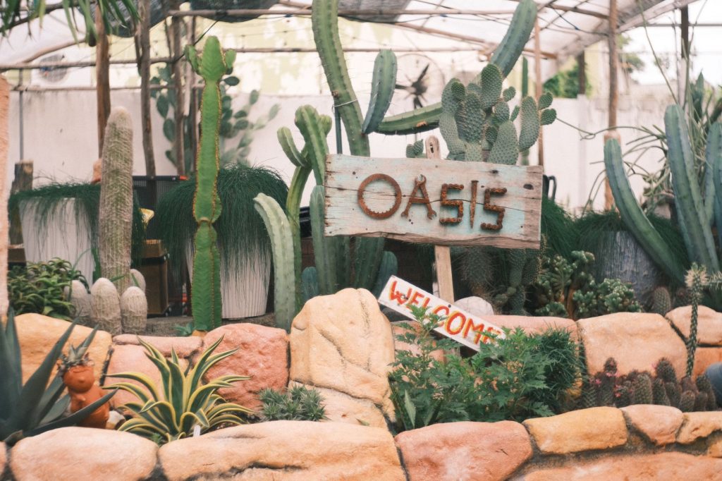 Oasis Reunion