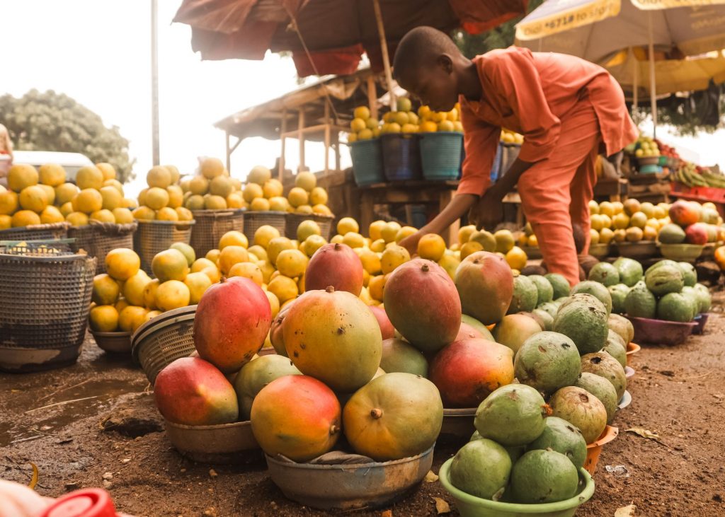 Mango Looting Video Sparks Trust Crisis in India