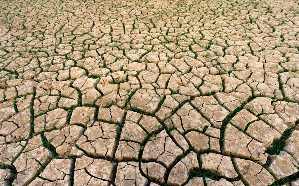 Rising Heat Wave Hits India, Over 100 Dead