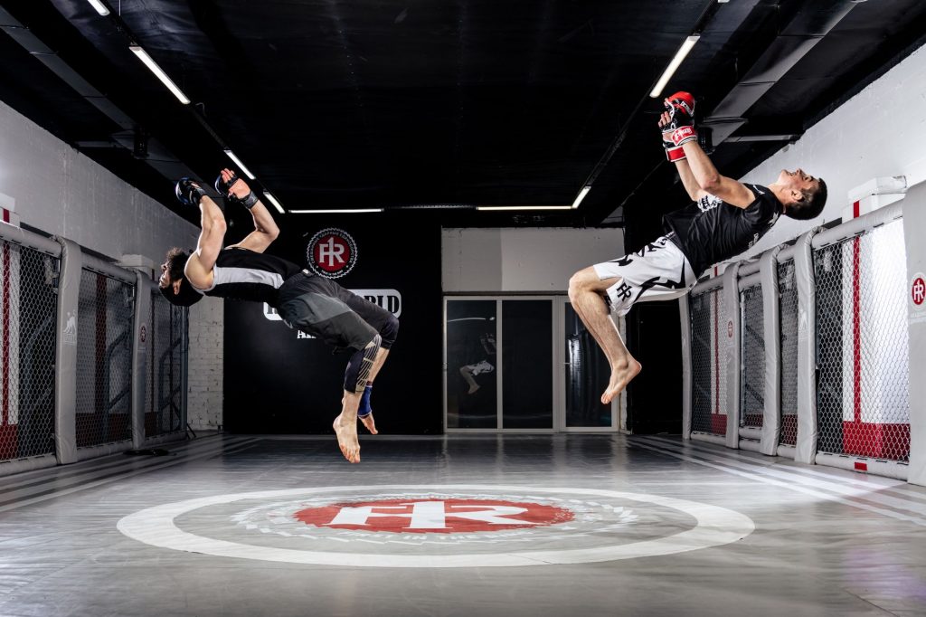 Fightland