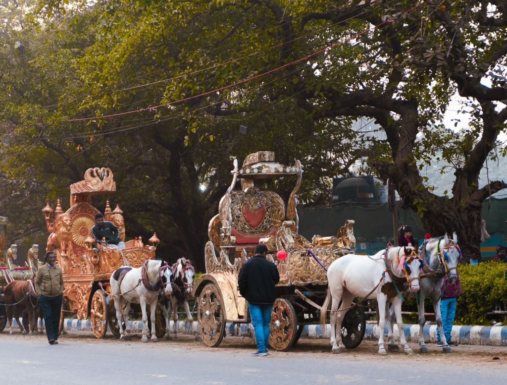 PETA India Demands Ban on Horse-Drawn Cabs in Kolkata