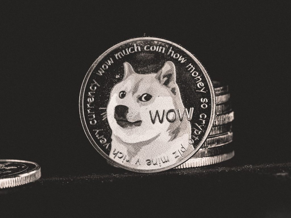 DOGE Probe