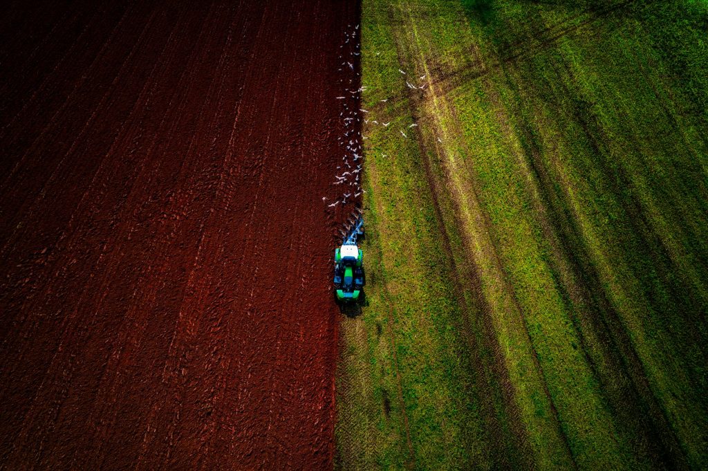 Plowing Match On