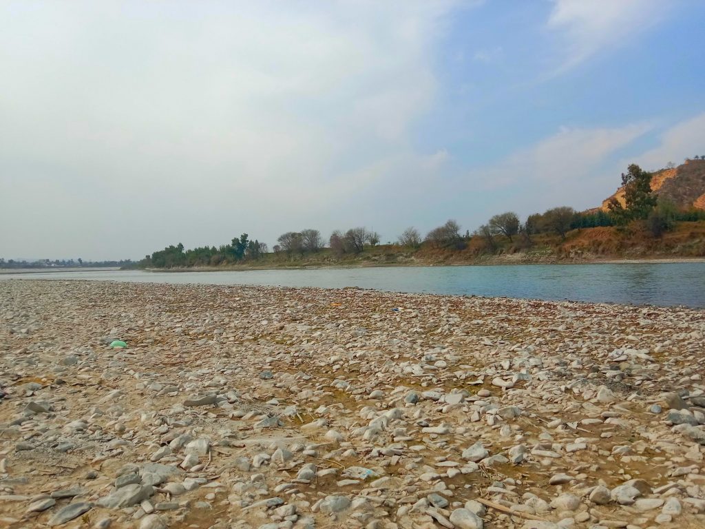 BJP Leader Fires Back at Union Minister over Satluj River Dispute