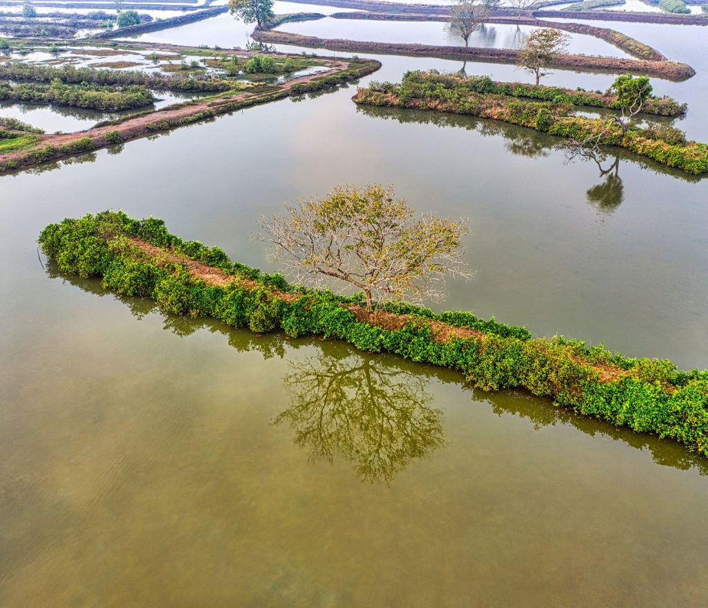 Supreme Court Intervenes in Darbhanga’s Sacred Ponds Dispute