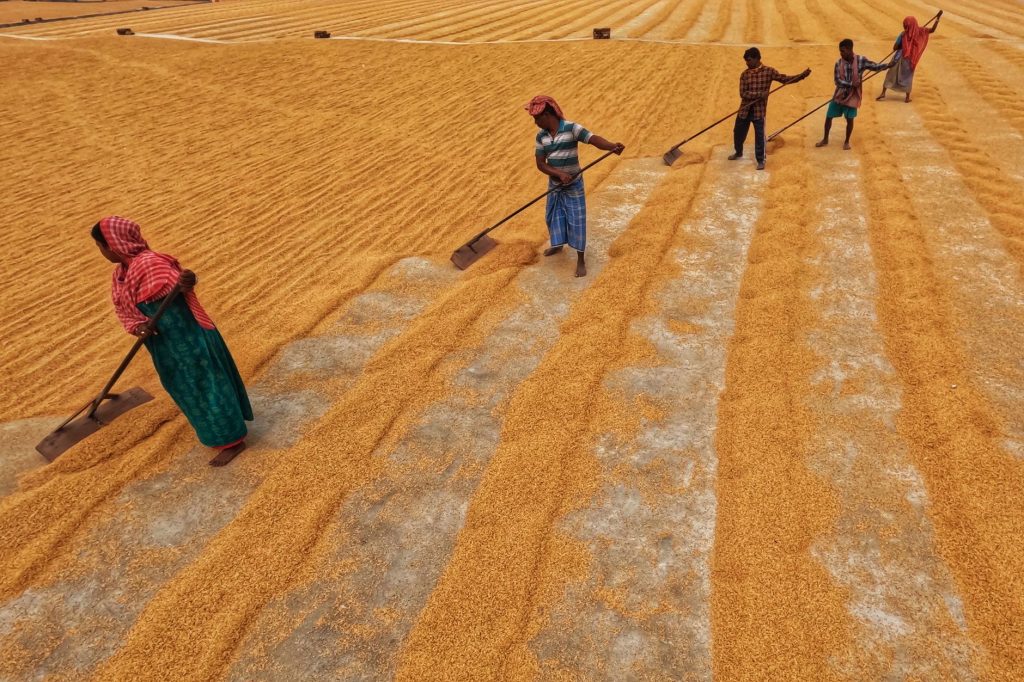 India Eyes Farming Ties with Afghanistan’s Taliban Regime