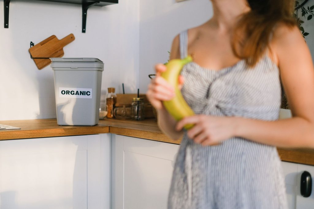 Say Goodbye to Food Waste with the Best Indoor Composters