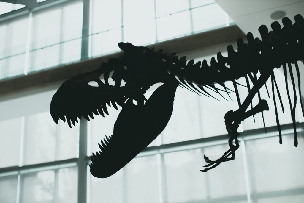 T Rex Auction
