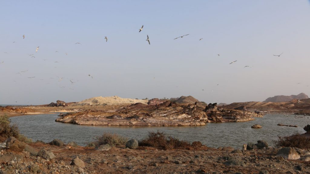 India Stands Firm Against Iran After Deadly Ship Strike in Hormuz