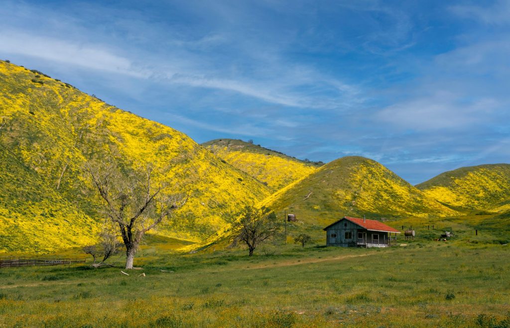 Netflix’s ‘Little House On The Prairie’ Gets Modest Start in India