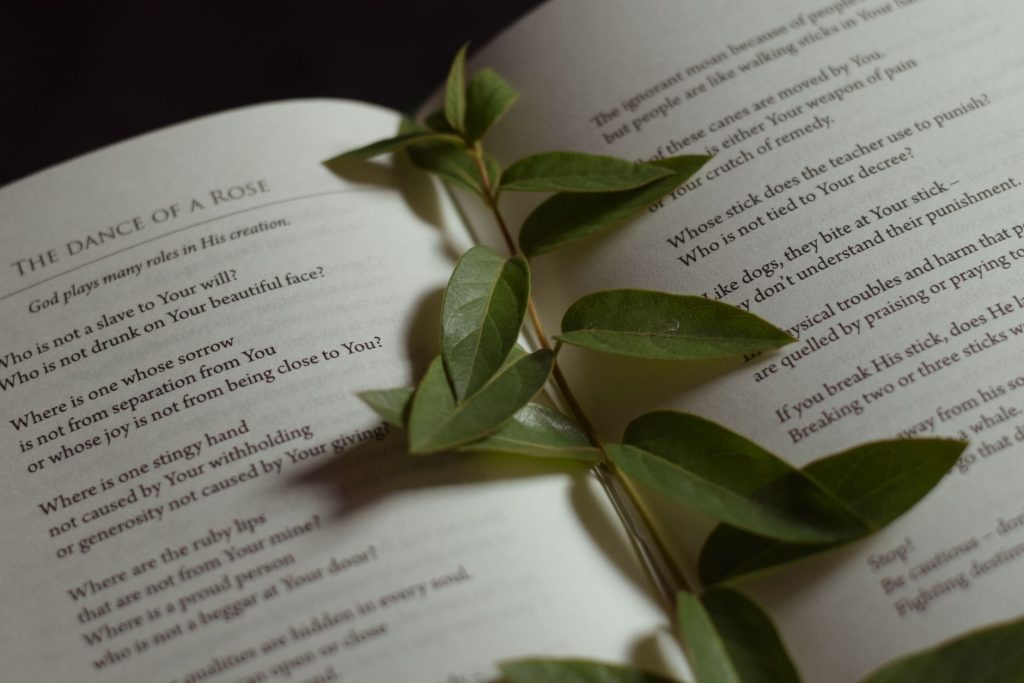 Mary Oliver’s Rise to Fame: From Obscurity to Cultural Icon