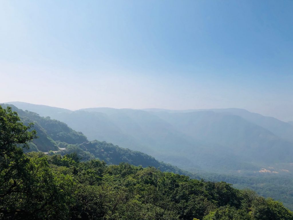 Sacred Groves in Western Ghats Thrive as Future Forests