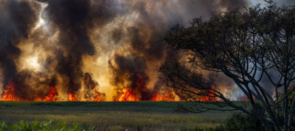 Canadian Wildfires Choke US Cities with Toxic Air