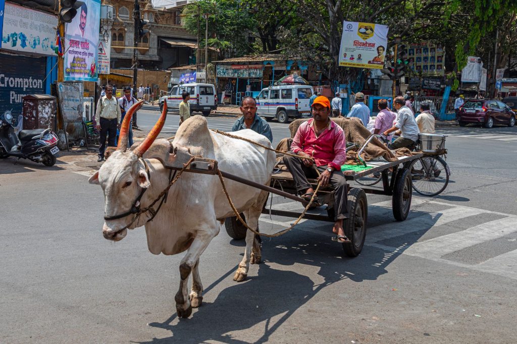 Pune Traffic Woes Set to Ease: CM Promises 30% Relief