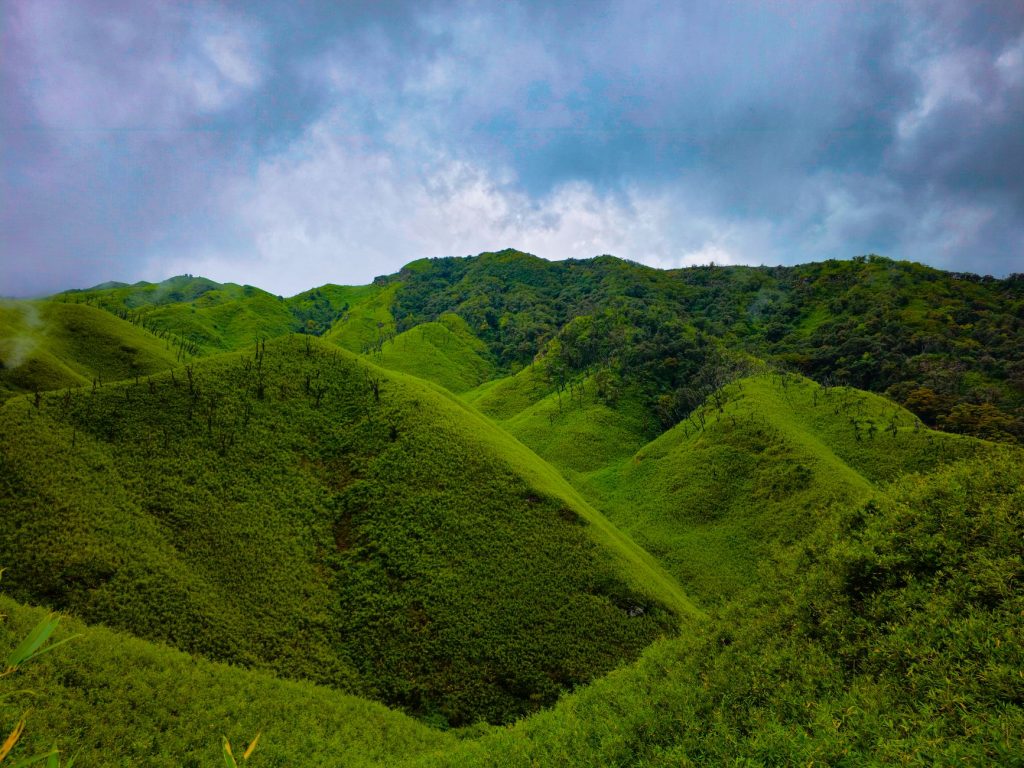 Rain Fury in Nagaland: 8 Lives Lost in Landslips