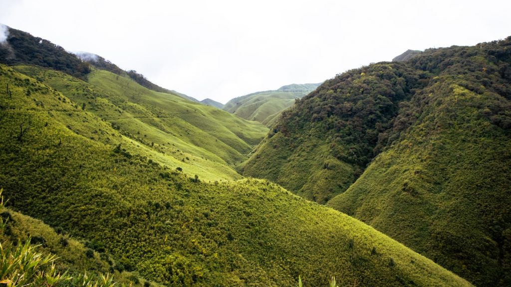 Nagaland Landslide Leaves 4 Dead, Many More Feared Trapped
