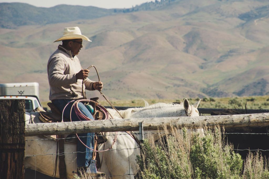 US TV Frenzy: ‘Dutton Ranch’ and ‘The Boroughs’ Soar to New Heights