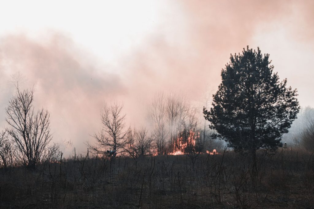 Wildfires Rage