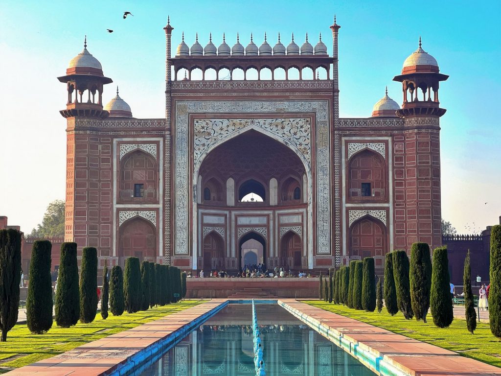 Monkeys Take Over Taj Mahal Gardens: Viral Sensation
