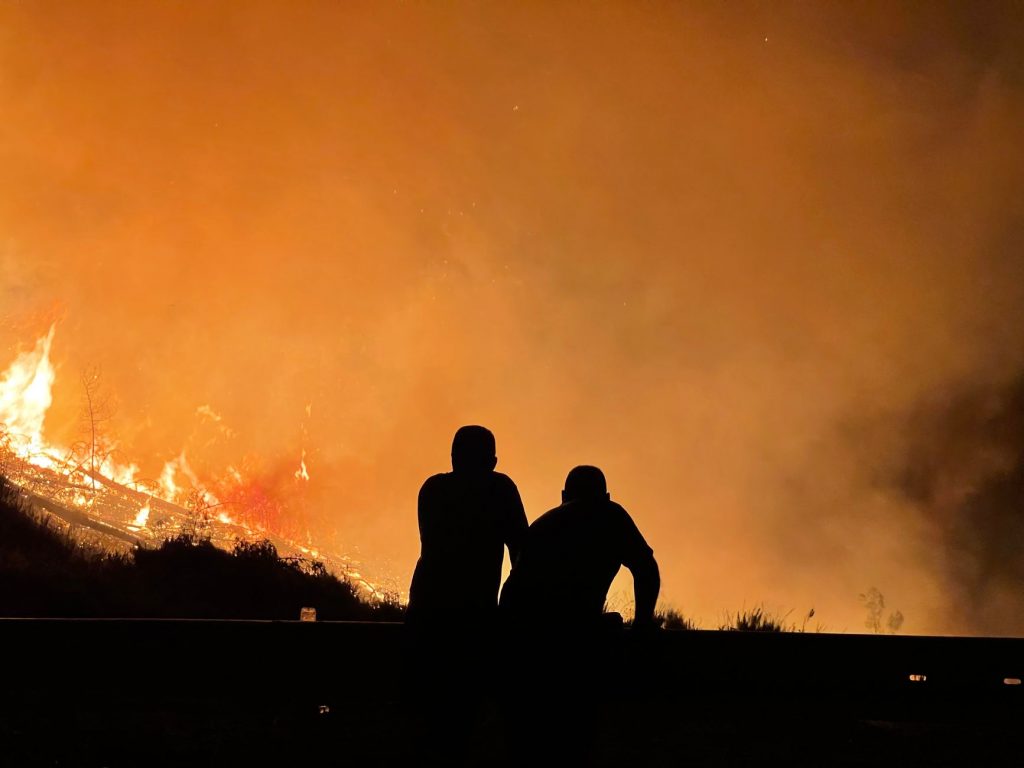 Europe's Scorching Heat Wave Sparks Wildfire Fears