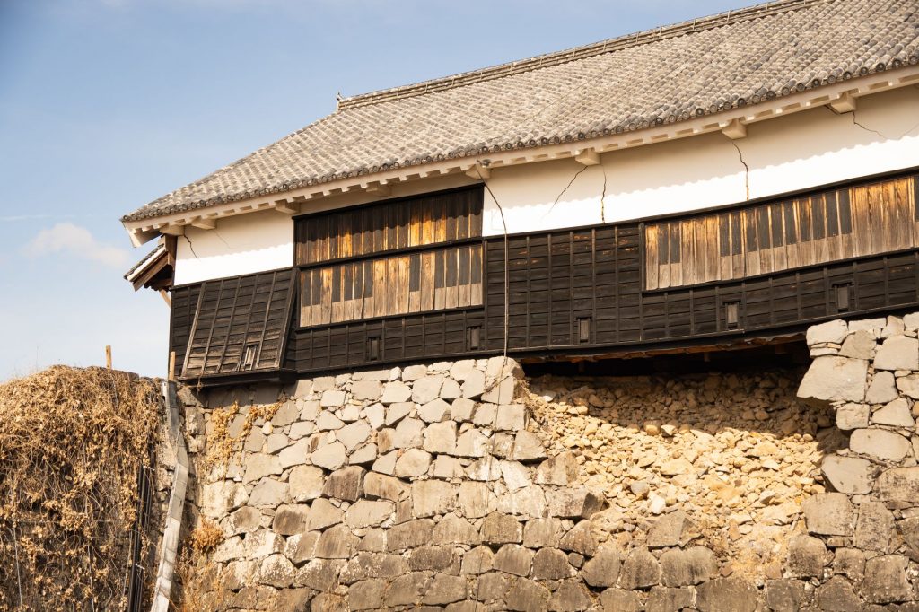 Japan Earthquake