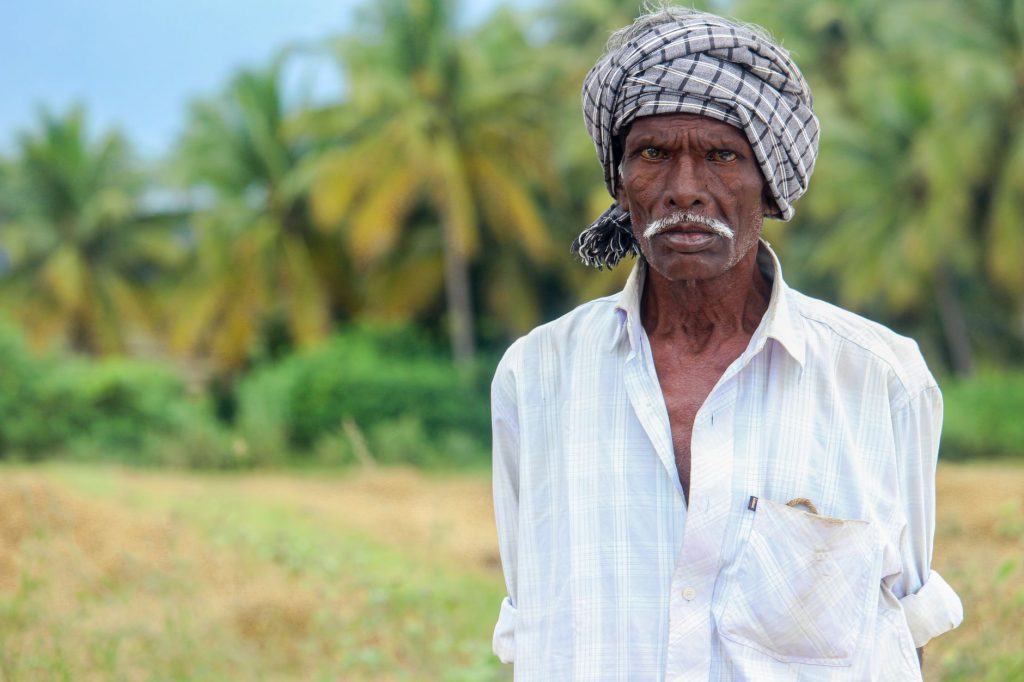 R Madhavan Transforms Arid Land into Thriving Coconut Farm in Tamil Nadu