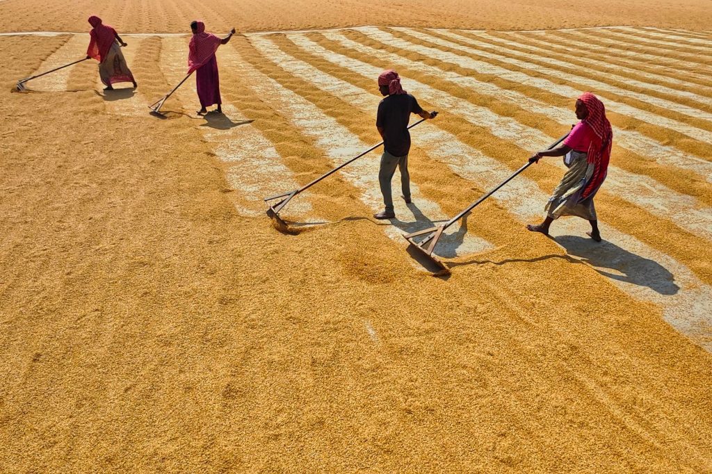 Women Power in Fields: 59.8% of India’s Agricultural Workforce