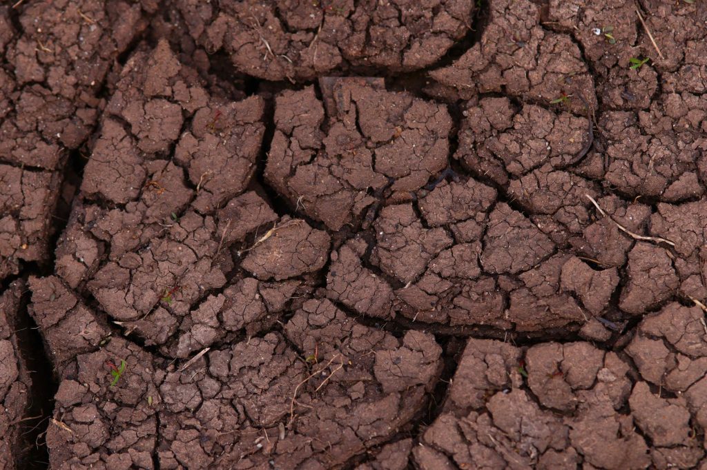 Nebraska Expert Heads to Global Soil Competition