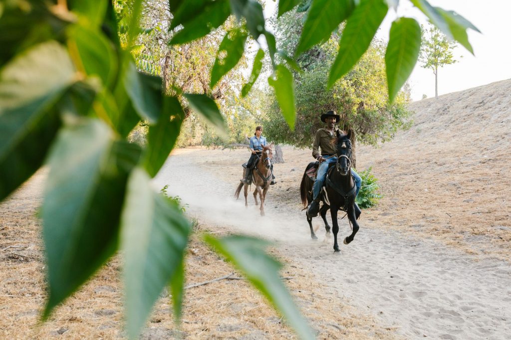 Kick Streamer's Horse Ride Sparks Outrage in India