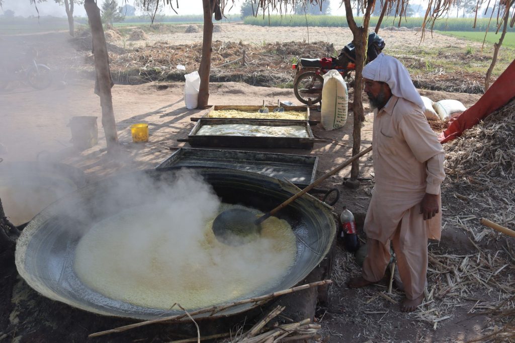 Shut Down Despite Record Production: What’s Behind India’s Sugar Mills Crisis