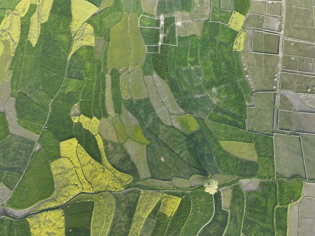 BEL Teams Up with Esri India to Boost Defence with GIS and AI
