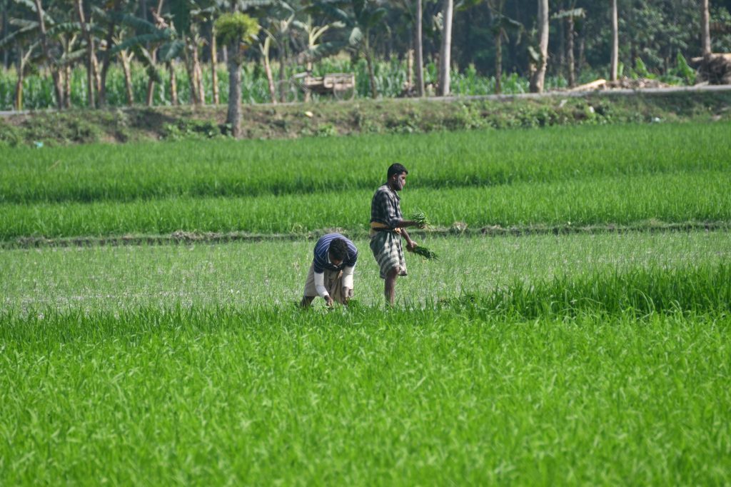 Bangladesh Land Dispute
