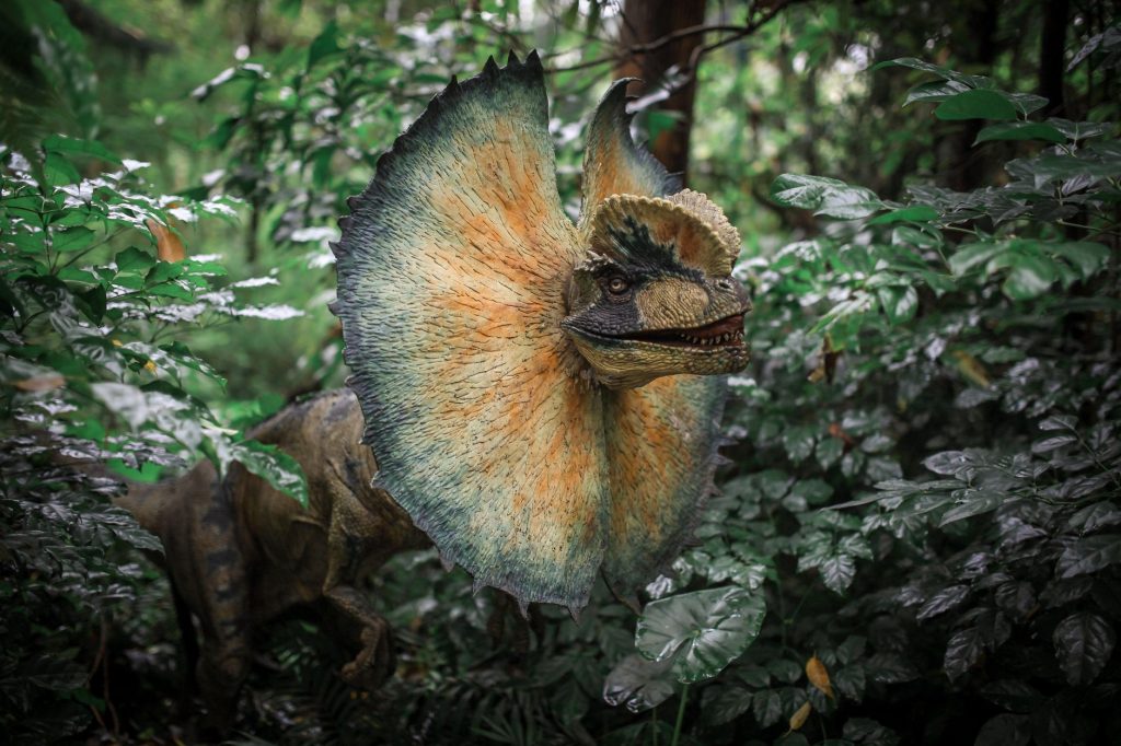 Australia’s Unique Species Face Extinction Crisis