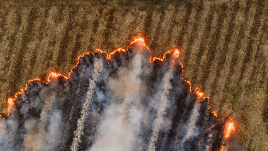 Canada Wildfire
