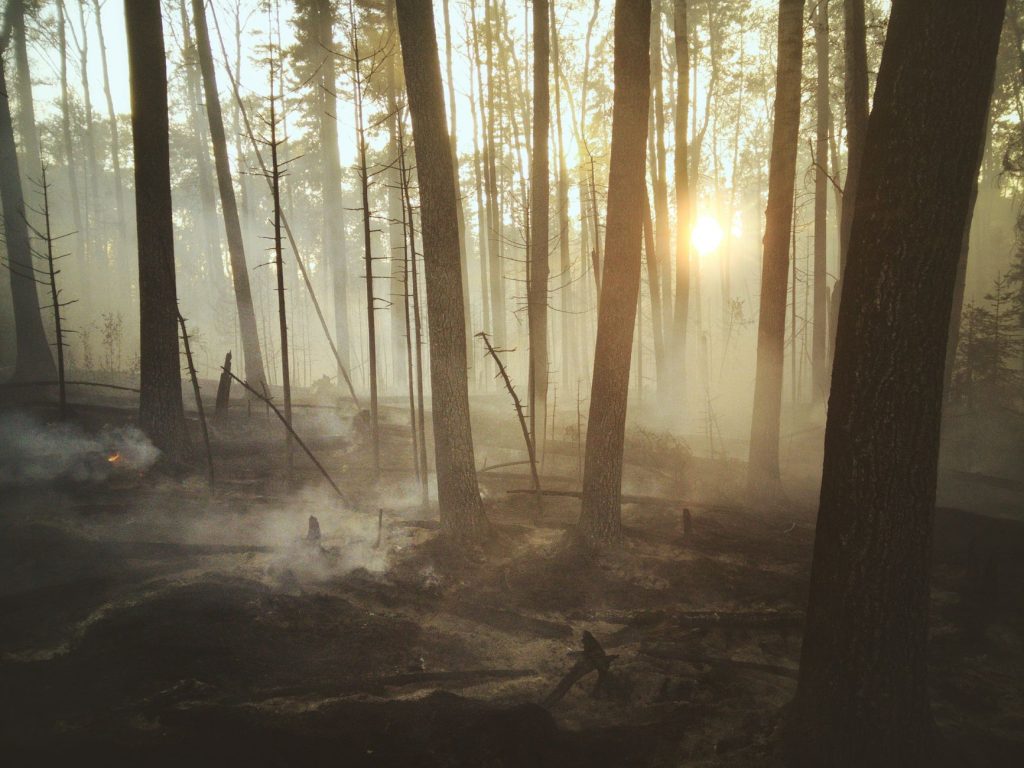 Canada Wildfire