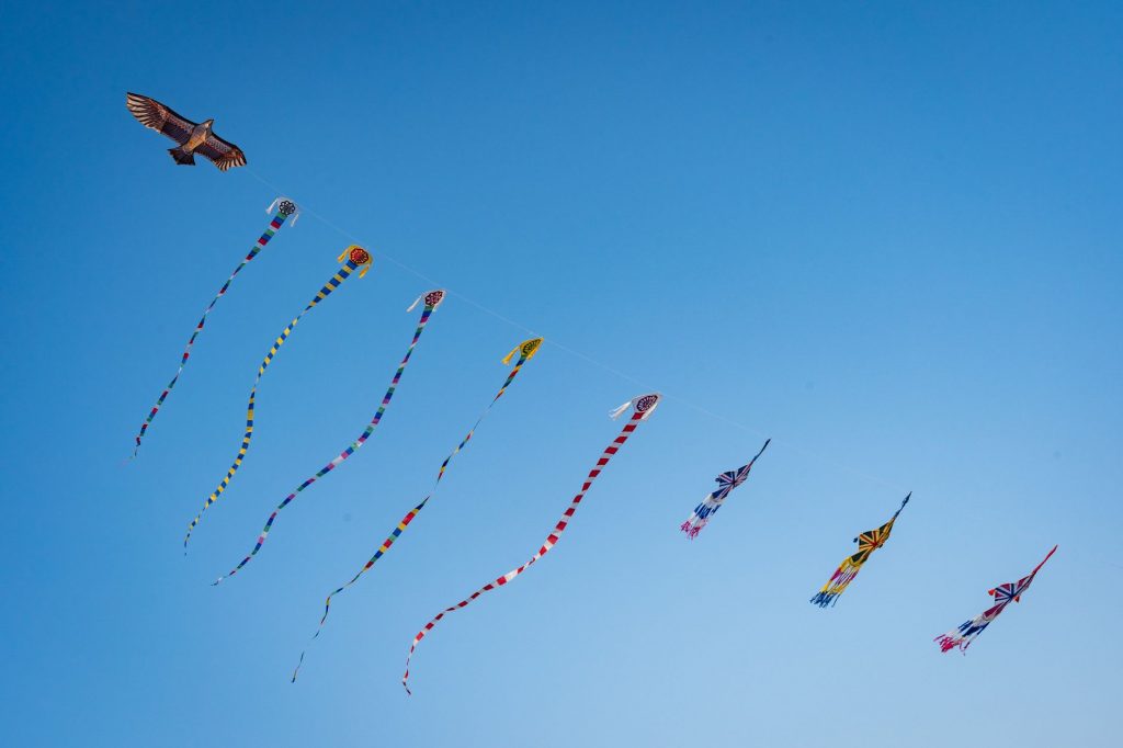 Colombo Sky Ablaze with Colors: International Kite Fest Kicks Off