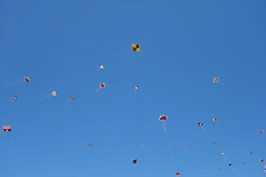 Sri Lanka Soars to New Heights as Colombo International Kite Festival Takes Off